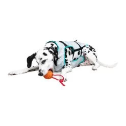 Suitical DRY Cooling Vest -Hundebedarfsgeschäft suitical dry cooling vest 149882 0500 none