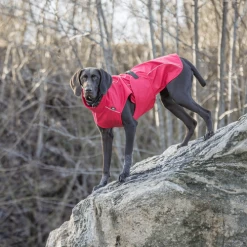 Trixie Regenjacke Vimy -Hundebedarfsgeschäft trixie regenjas vimy 204854 0500 none