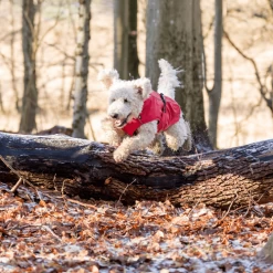 Trixie Regenjacke Vimy -Hundebedarfsgeschäft trixie regenjas vimy 204857 0500 none
