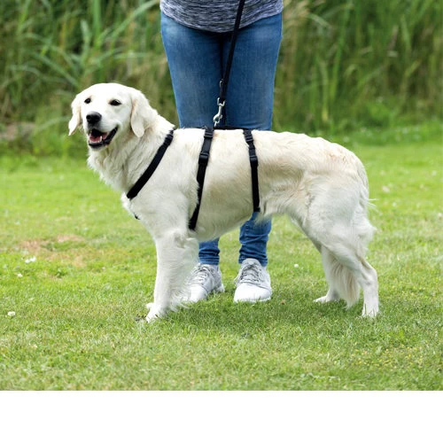 Trixie Stay Sicherheitsgeschirr 4 Trixie Stay Sicherheitsgeschirr – Bild 2