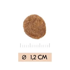 Vetality Gastrointestinal - Hundefutter -Hundebedarfsgeschäft vetality gastrointestinal hondenvoer 195449 0500 none