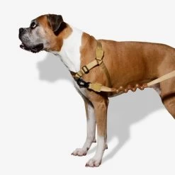 Zee.Dog Soft Walk Harness 17 Zee.Dog Soft Walk Harness -Hundebedarfsgeschäft zeedog soft walk harness 200678 0500 none