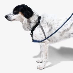 Zee.Dog Soft Walk Harness 19 Zee.Dog Soft Walk Harness -Hundebedarfsgeschäft zeedog soft walk harness 200684 0500 none